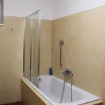 Paulina Apartament Wielka Łomnica